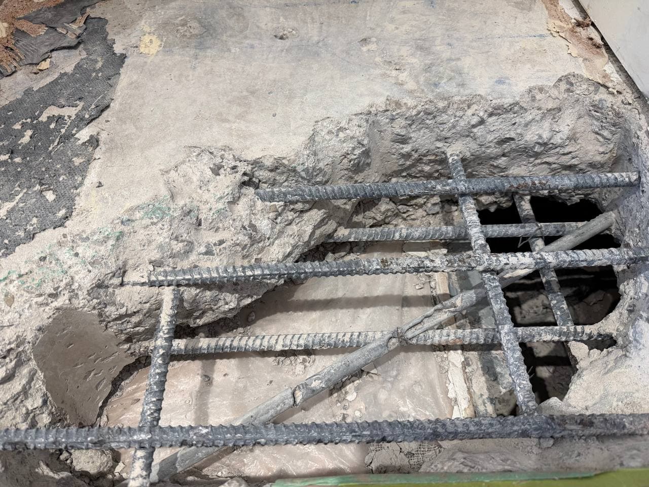 damaged the electrical cable